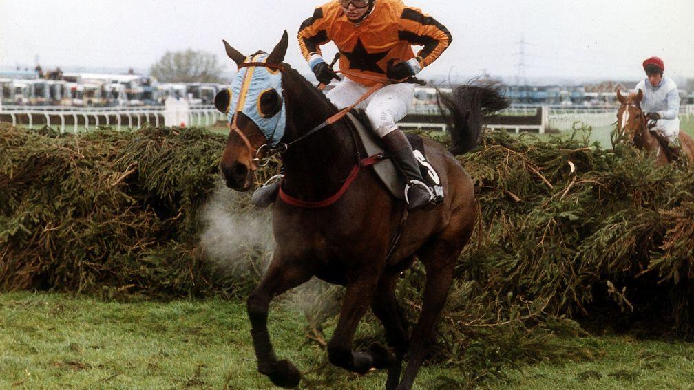 Garrison Savannah, still clear of eventual winner Seagram at the last in the 1991 Grand National
