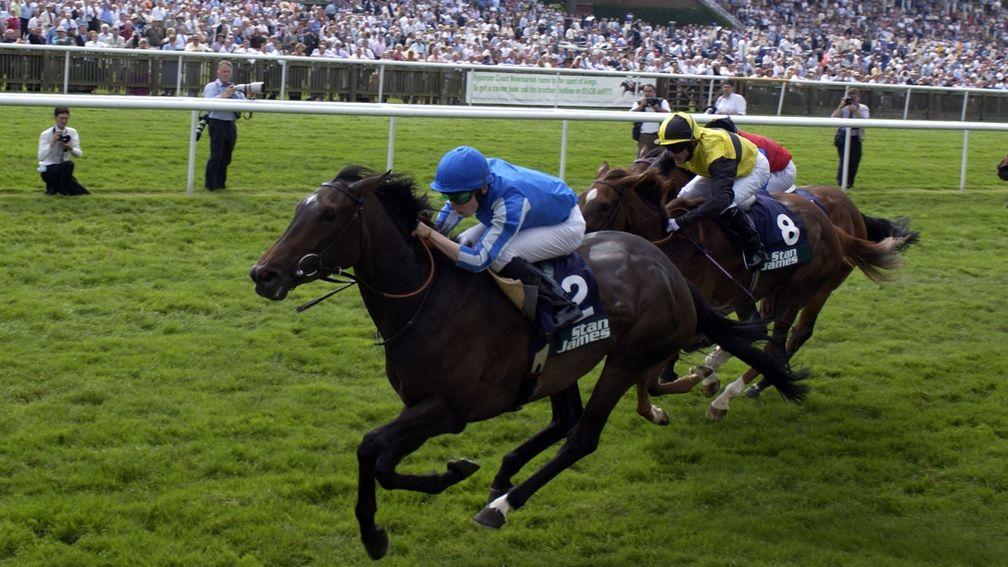 Macadamia winning the 2003 Falmouth Stakes for Vestey