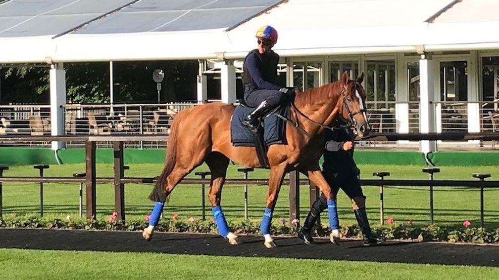 Stradivarius and Frankie Dettori at the July course on Tuesday morning