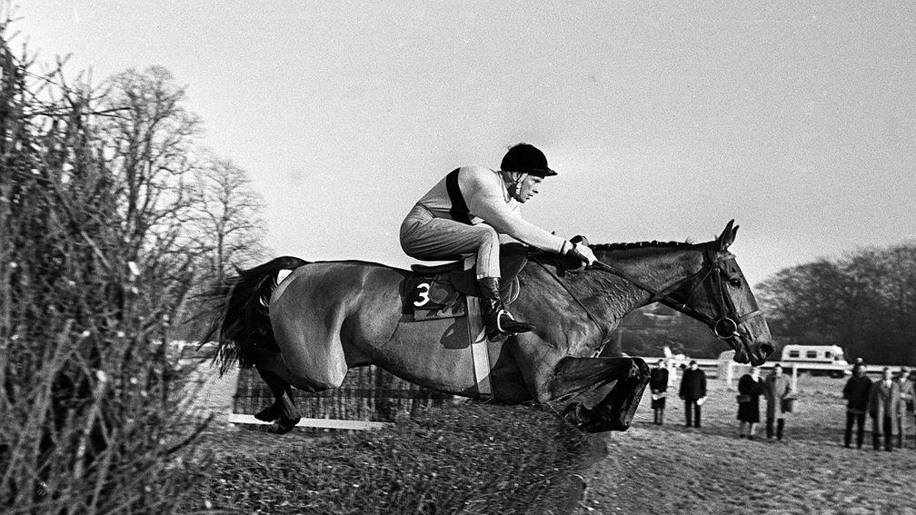 Arkle and Pat Taaffe soar over Kempton's birch to land the 1965 King George VI Chase
