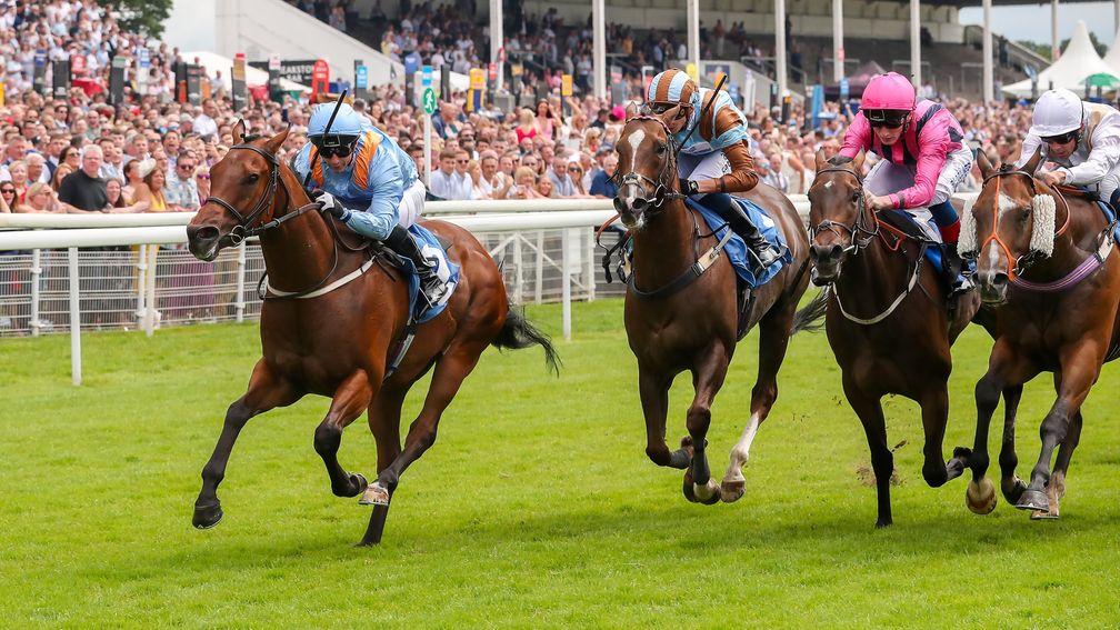 Copper Knight (blue): winning at York in July