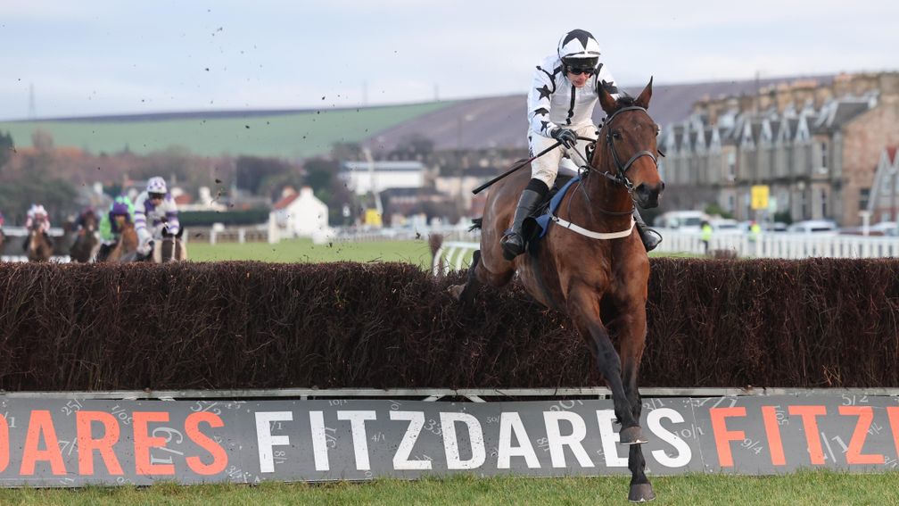 Large Action: Musselburgh winner bids to win again at Sedgefield