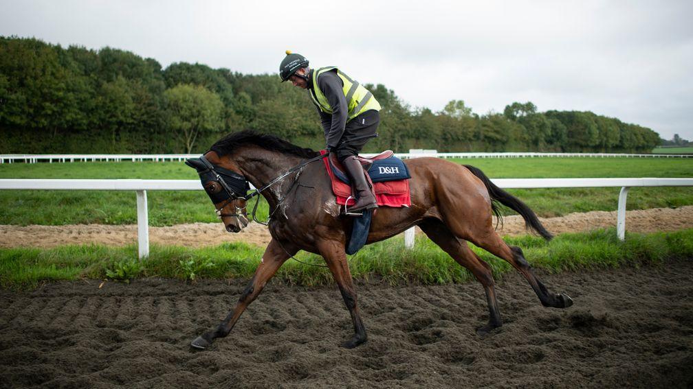 Master Tommytucker (Scott Marshall) on the round gallops at Manor Farm StablesDitcheat 15.10.19 Pic: Edward Whitaker