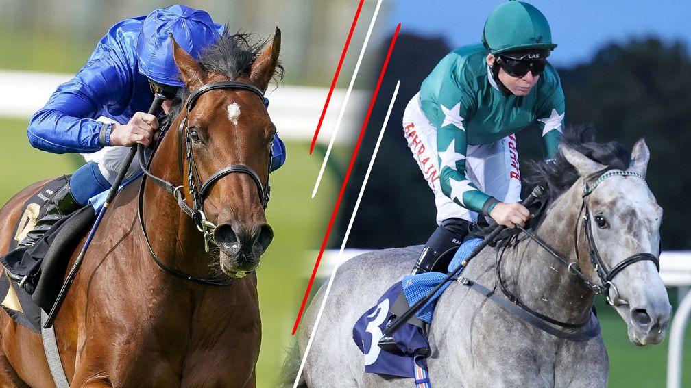Bold Act (left) and Intinso bid to enhance their Classic claims in the Feilden