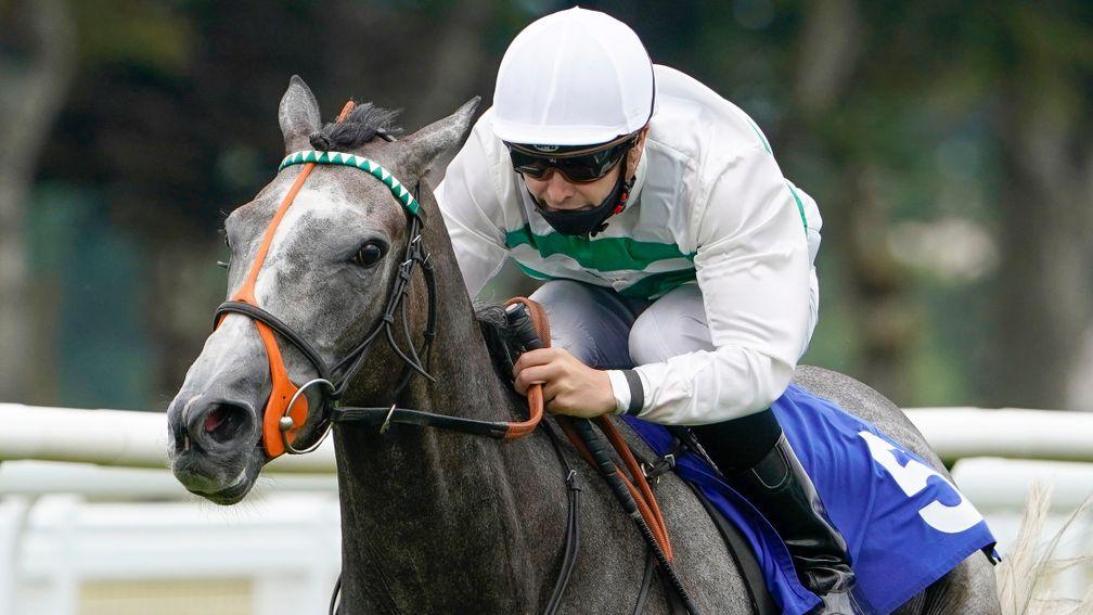 Alpinista: won her second Group 1 in Germany on Sunday