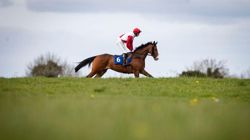 Sandymount Duke was last seen in a conditions hurdle at Thurles in March