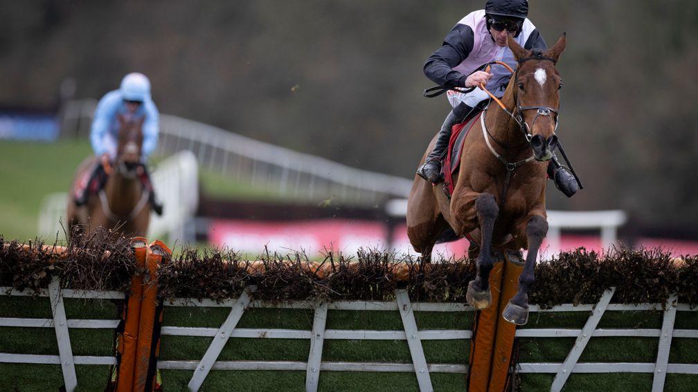 Teahupoo: dominated the Galmoy Hurdle
