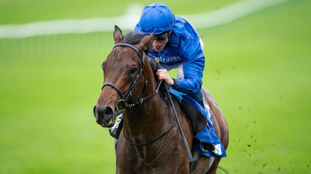 Pinatubo: it won't be long now until we get another glimpse of the unbeaten juvenile who is a hot favoruite for the Qipco 2,000 Guineas