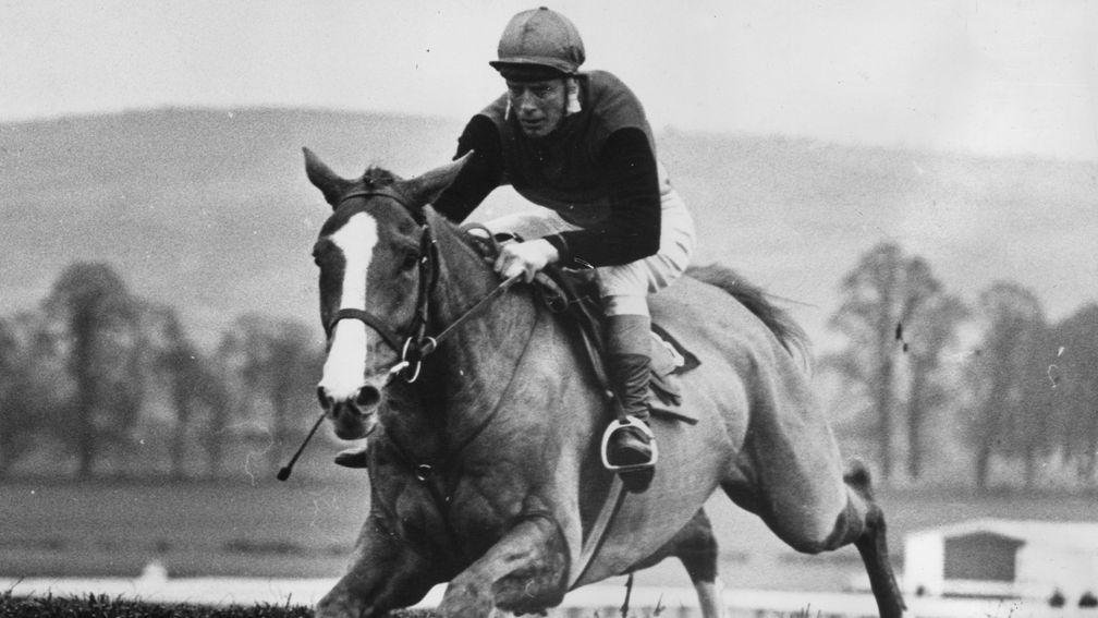 Flyingbolt and Pat Taaffe head for a 15-length victory in the 1966 Champion Chase at Cheltenham