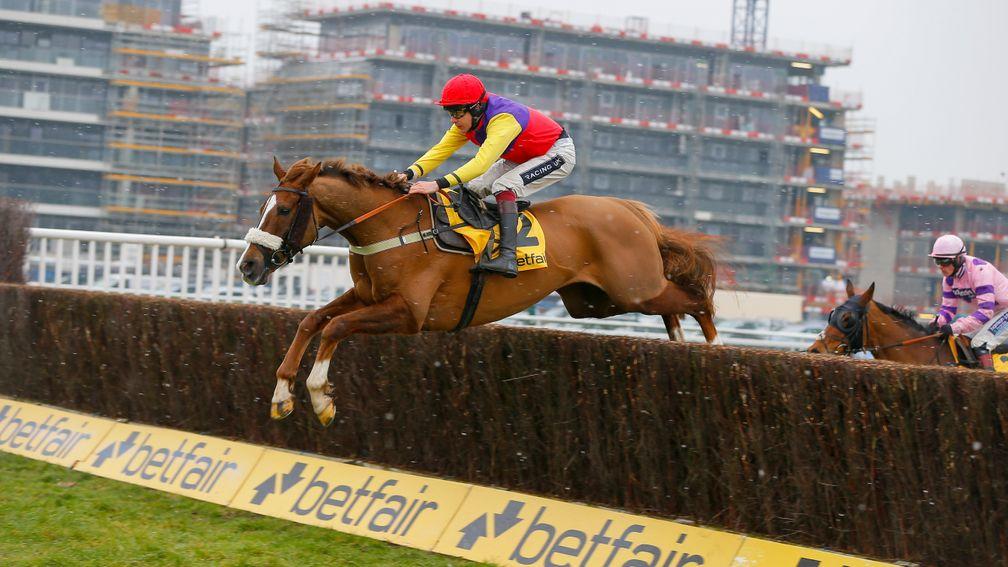 Native River: won the Denman Chase last year