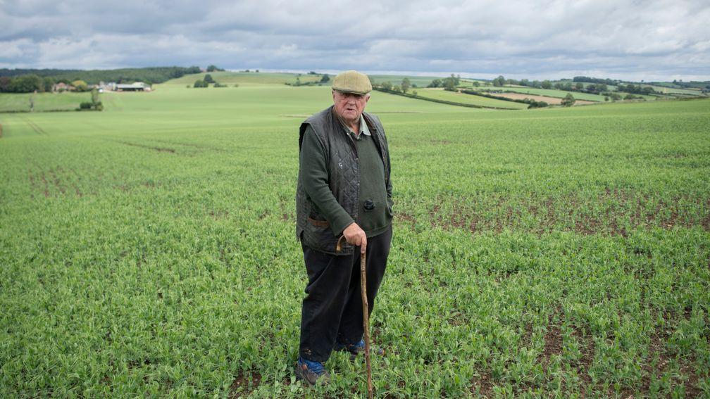 Legendary racehorse trainer and farmer Mick Easterby in his fields of peas at New House Farm in Sheriff Hutton near York Pic: Edward Whitaker 30.6.20