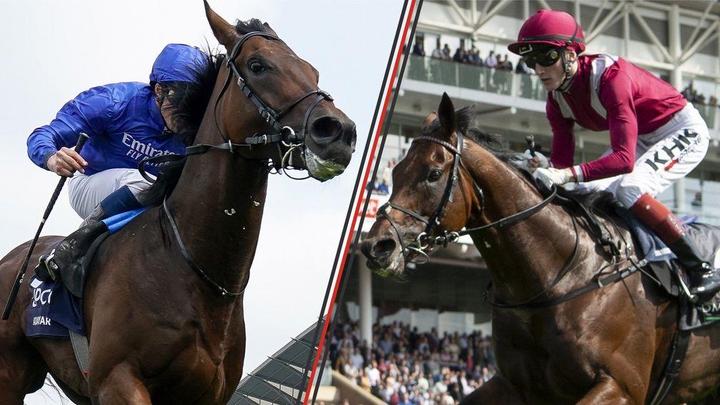 Adayar and Mishriff: pair head the market for Saturday's Qipco Champion Stakes at Ascot