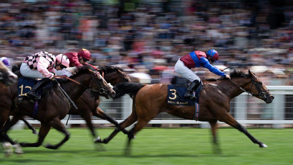 Zoology (Red Cap) finishes second to Age Of Kings in the Jersey Stakes
Ascot 24.6.23 Pic: Edward Whitaker