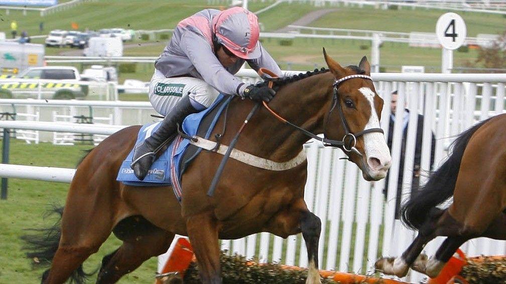 Punjabi: won the rearranged Fighting Fifth Hurdle at Wetherby in 2008