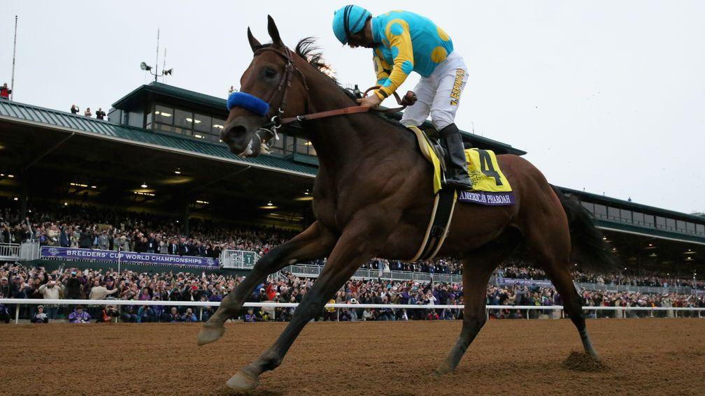 American Pharoah won the US Triple Crown in 2015: Betfred offer 10-1 that any horse emulates him in 2017