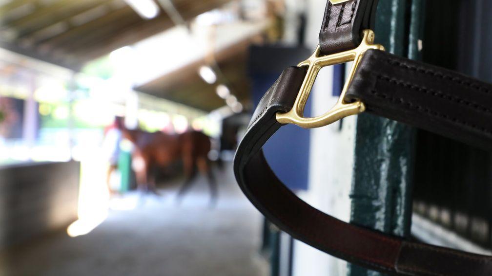 The seventh session of Keeneland's September Yearling Sale took place on Monday