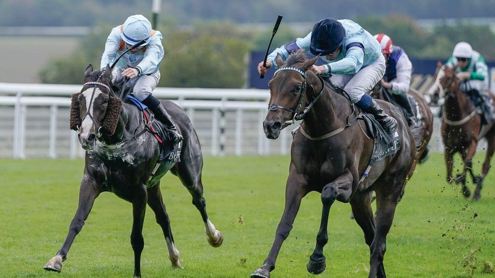 Chic Colombine (right): subsequent Listed winner struck in the 2023 British EBF £100,000 2YO Fillies' Series Final at Goodwood
