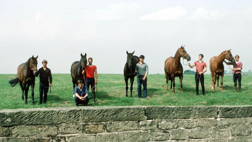Famous Five: Michael Dickinson (front) with the horses that filled the first five places in the 1983 Chelteham Gold Cup, (left to right) Bregawn, Captain John, Wayward Lad, Silver Buck and Ashley House