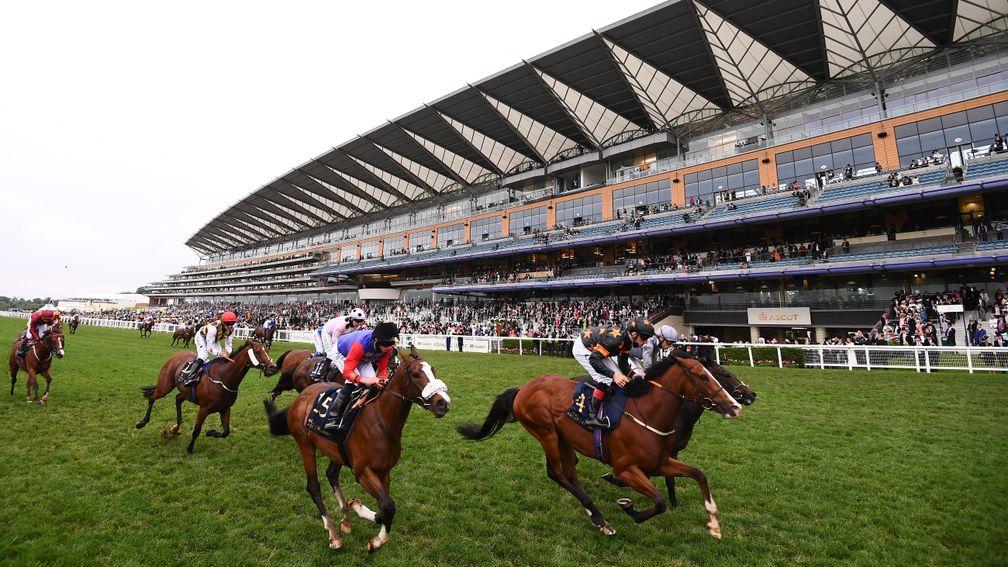 Royal Ascot: had a limited capacity of 12,000 people last year