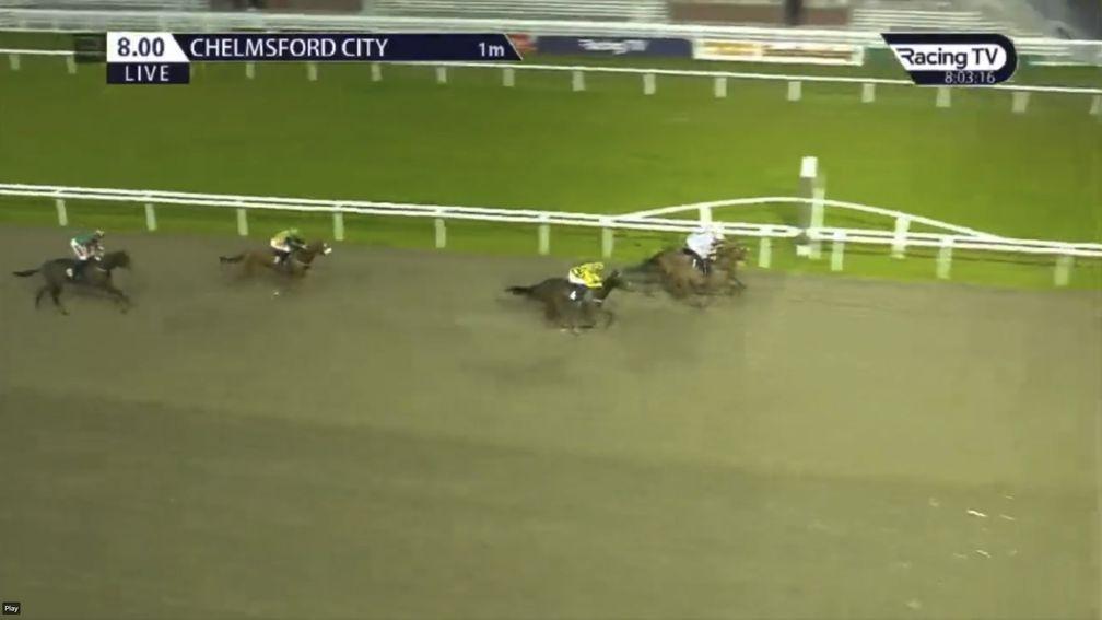 Chelmsford 8.00 20/04/2023. Pat Gosrove eases up too early on 1/6F Concorde to be beaten by My Roxanne. RacingTV screengrab