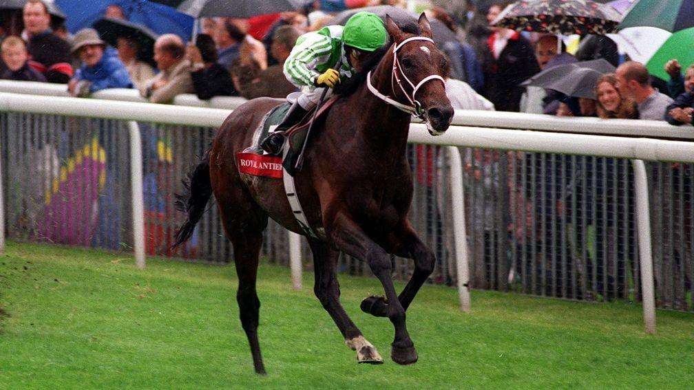Royal Anthem storms clear to win the 1999 Juddmonte International by eight lengths