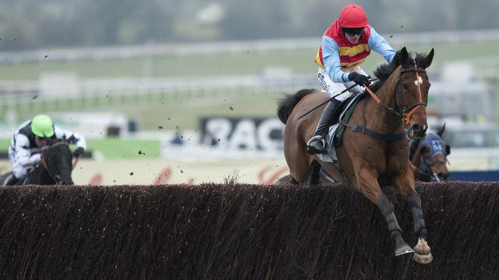Hunt Ball: made a rapid rise through handicaps resulting in a festival victory