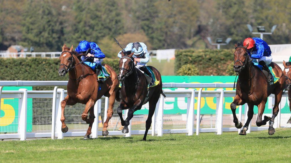 Adayar (right): comes from a long way back to finish second at Sandown last month
