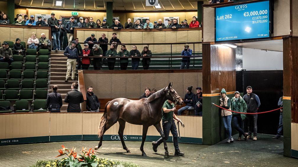 Different times: the Galileo filly out of Green Room tops the 2019 Orby Sale at €3 million