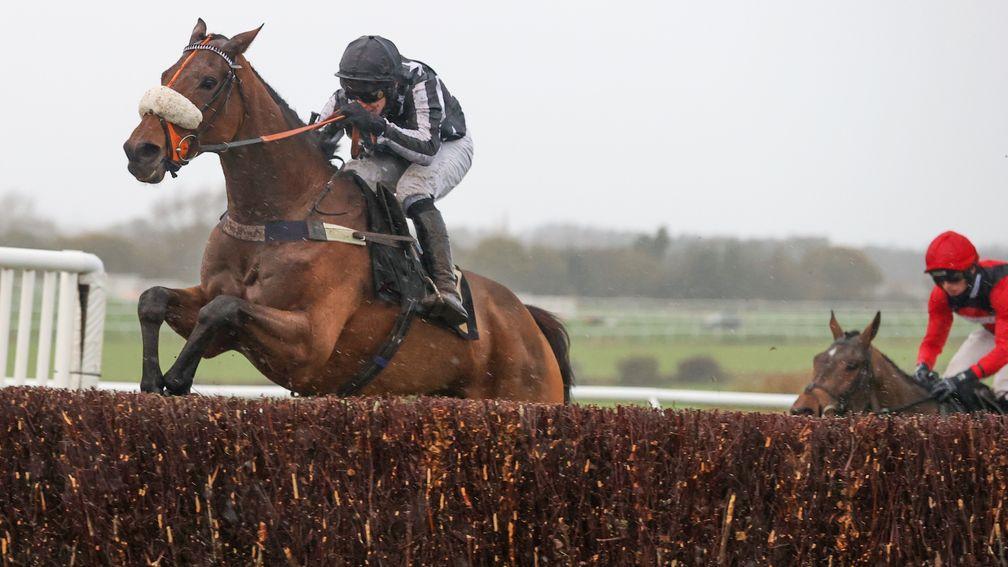 Imperial Aura: early favourite for the Grade 2 Chanelle Pharma 1965 Chase at Ascot