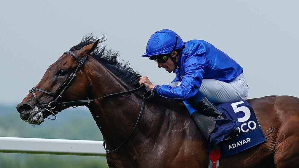 Adayar: won the Derby and King George VI and Queen Elizabeth Stakes last year