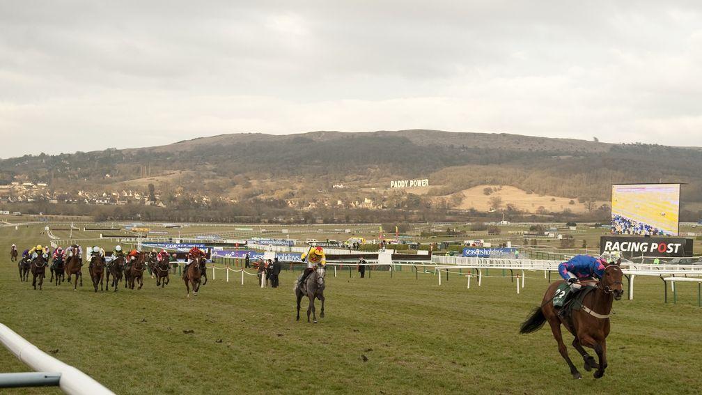 Cue Card is in a league of his own as he sprints clear to win the 2010 Champion Bumper