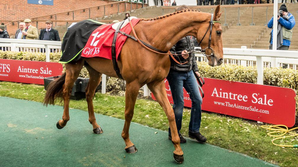 Papa Tango Charly is paraded at Aintree in April