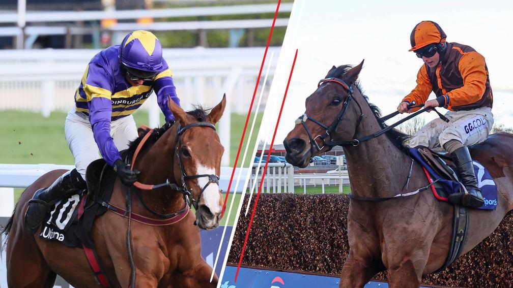 Corach Rambler (left) and Noble Yeats: among the leading contenders in Saturday's Grand National line-up