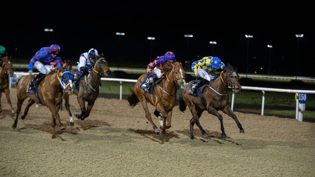 Dubirango (purple and orange) was a reliable winter performer at Dundalk