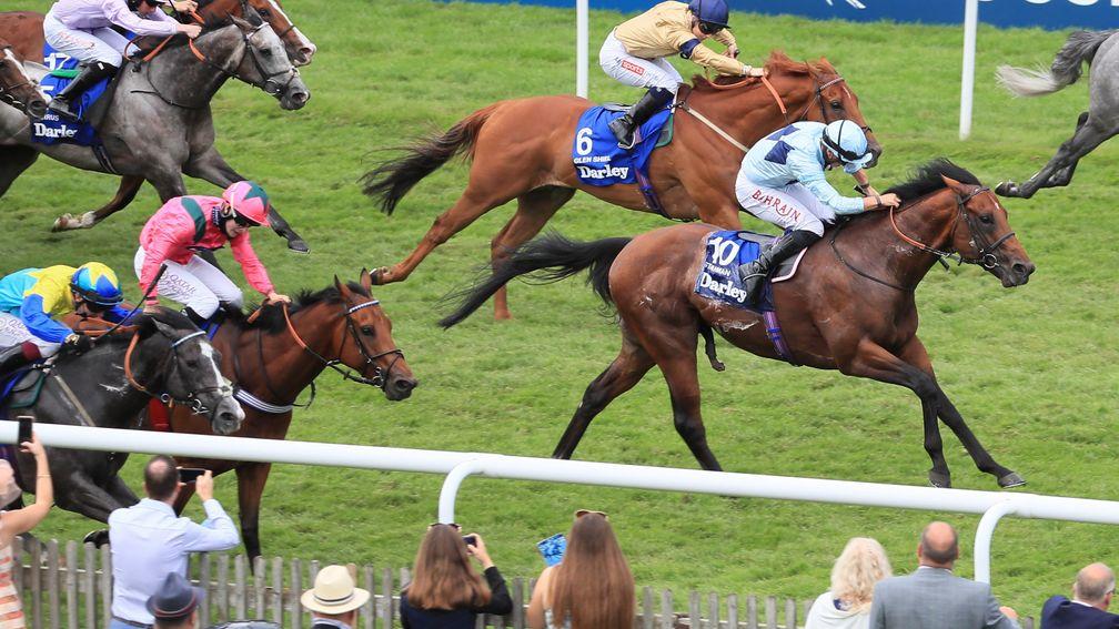 Dragon Symbol (left), Starman (light blue, centre) and Glen Shiel (dark blue cap) could all turn up in the Sprint Cup