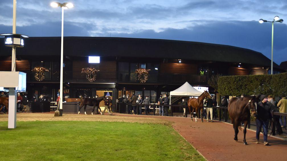 Arqana's sale next month offers a variety of choice