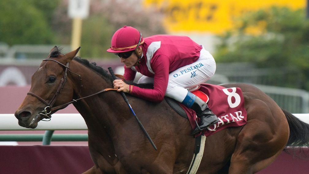 Make Believe: reached Group 1 standard on the track in France