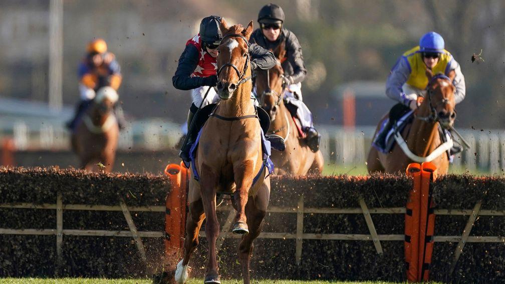 Cape Gentleman: became the first Irish winner of the Dovecote Novices' Hurdle