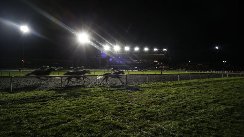 Kempton: twilight racing under the lights