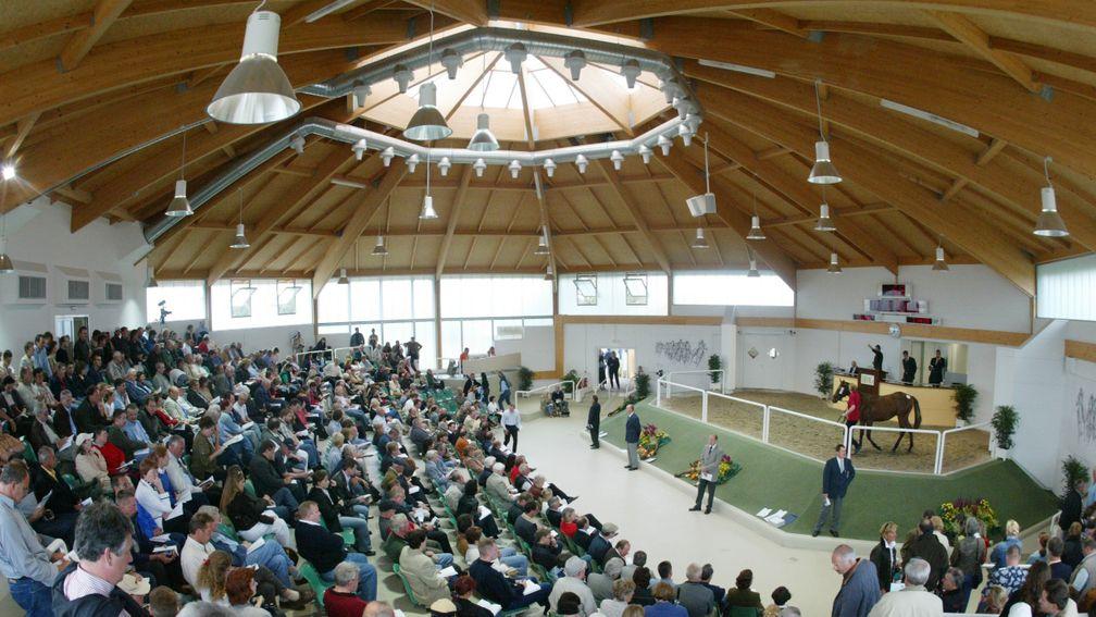 The BBAG October Yearling Sale concluded on Saturday