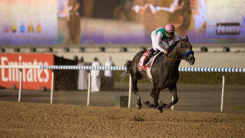 Arrogate: the latest star to be born in April