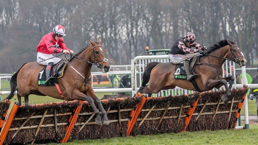 The New One (near side) jumps a hurdle in tandem with Ch'Tibello at Haydock