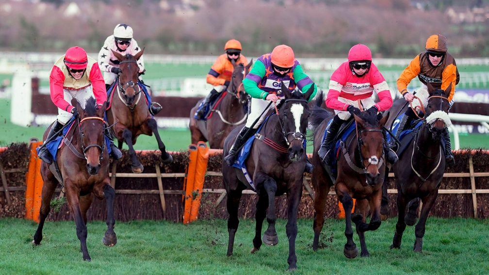The White Mouse (centre, orange cap): won at Cheltenham on Saturday for an all-female team