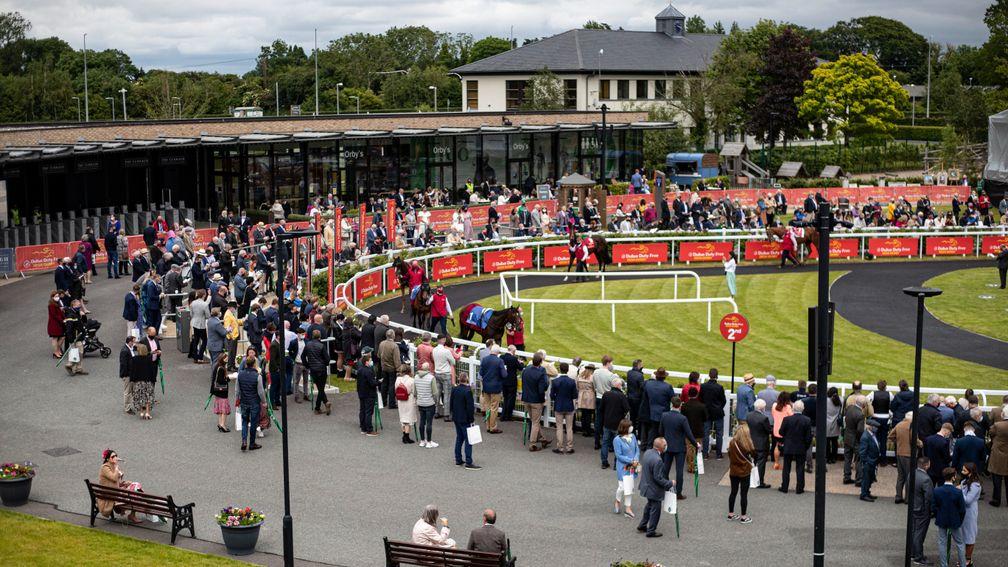 Curragh: hosted 1,000 spectators as part of a government-led Dubai Duty Free Irish Derby day pilot event in June