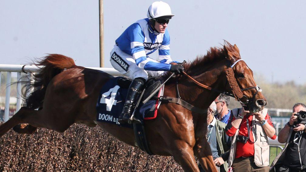 San Benedeto: can land the Haldon Gold Cup
