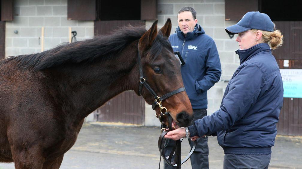 Gerry Aherne inspects the Walk In The Park colt he would later buy for €155,000