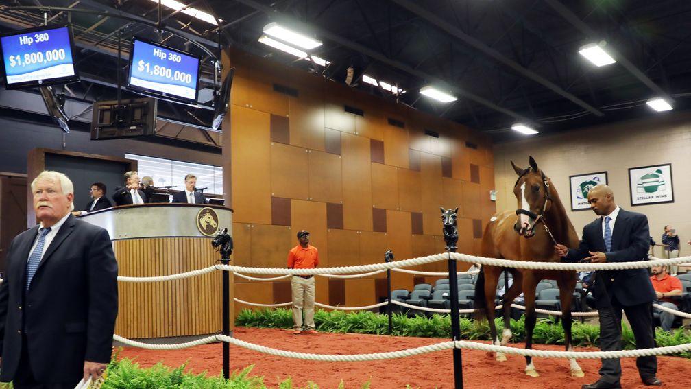 Fasig-Tipton holds its July sale on Monday