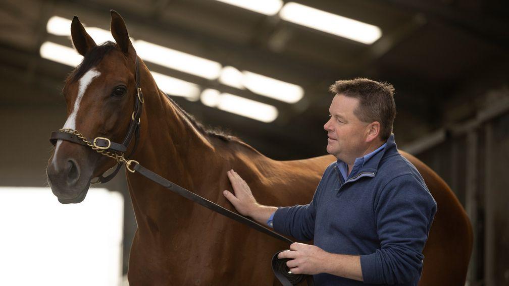 Paddy Twomey: trainer is having a remarkable season