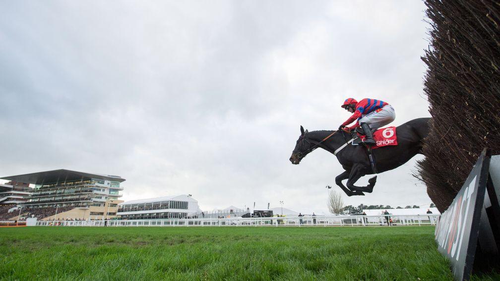 Sprinter Sacre jumps the second-last fence in the Shloer Chase