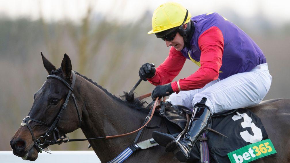 Dashel Drasher: on course for the Stayers' Hurdle
